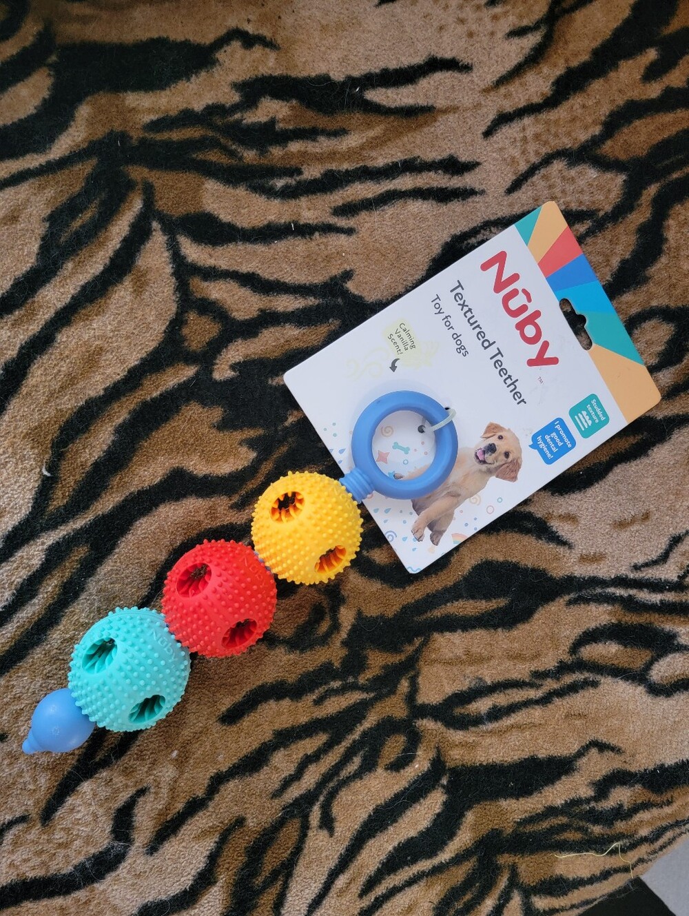 Teether Puppy Dog Dental Nuby Chew Toy Small New Ea.